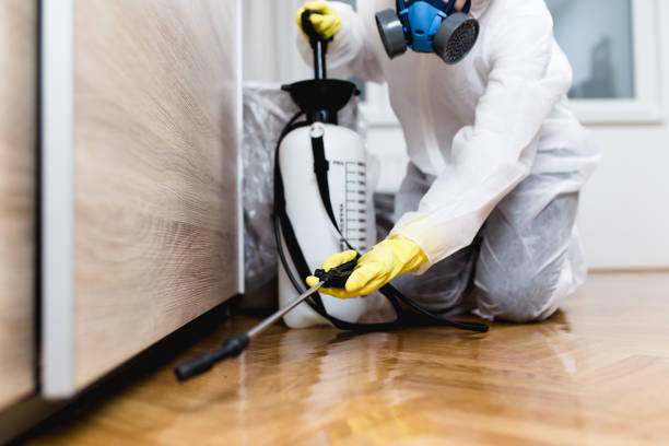 Best Pest Removal Services  in Austin, AR