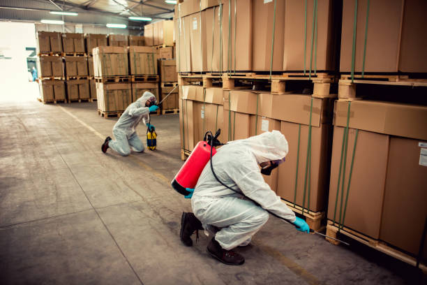 Best Pest Prevention Services  in Austin, AR