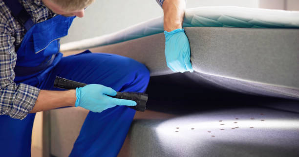 Best Best Pest Control Companies  in Austin, AR