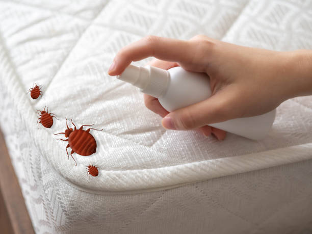 Best Mosquito Control Services  in Austin, AR