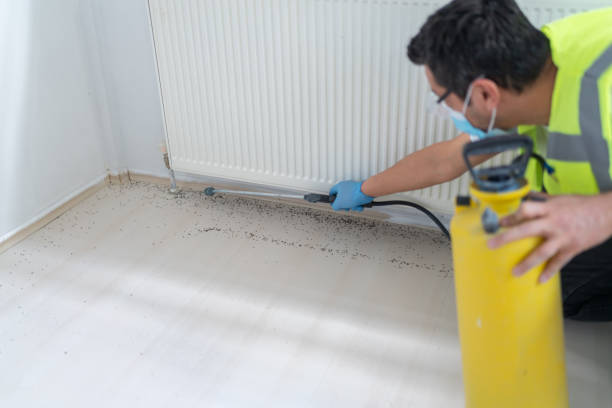 Professional Pest Control in Austin, AR