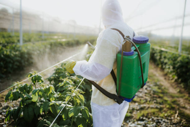  Austin, AR Pest Control Pros